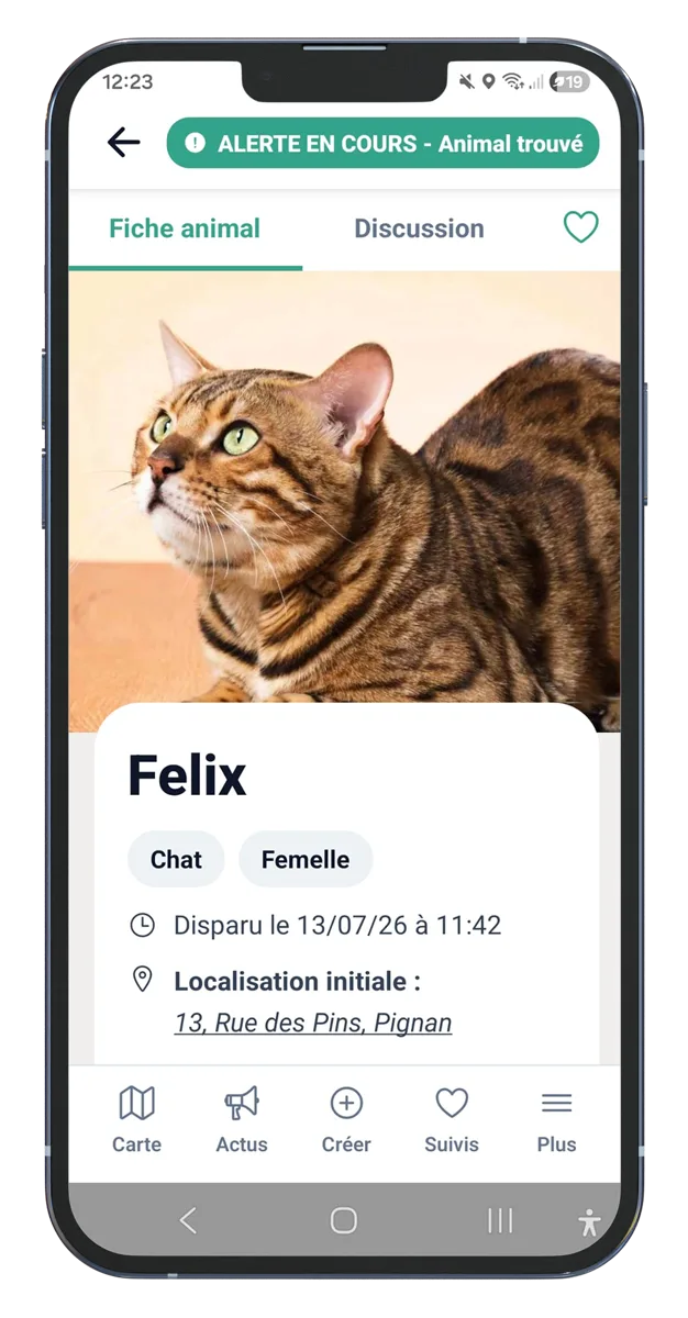 Fiche d’une alerte Noé sur mobile