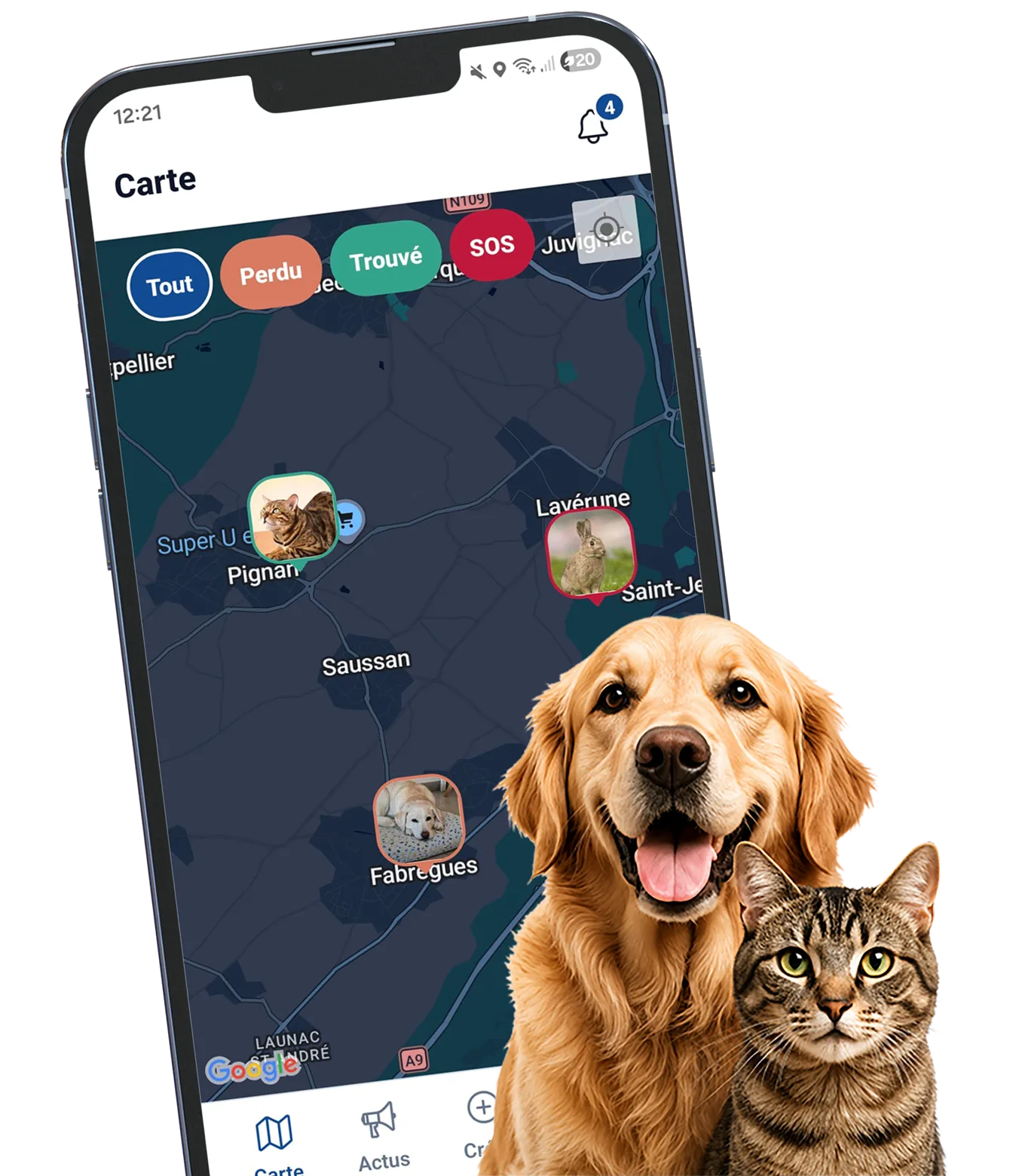 L’application Noé avec un chien et un chat