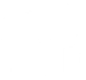 Logo Noé