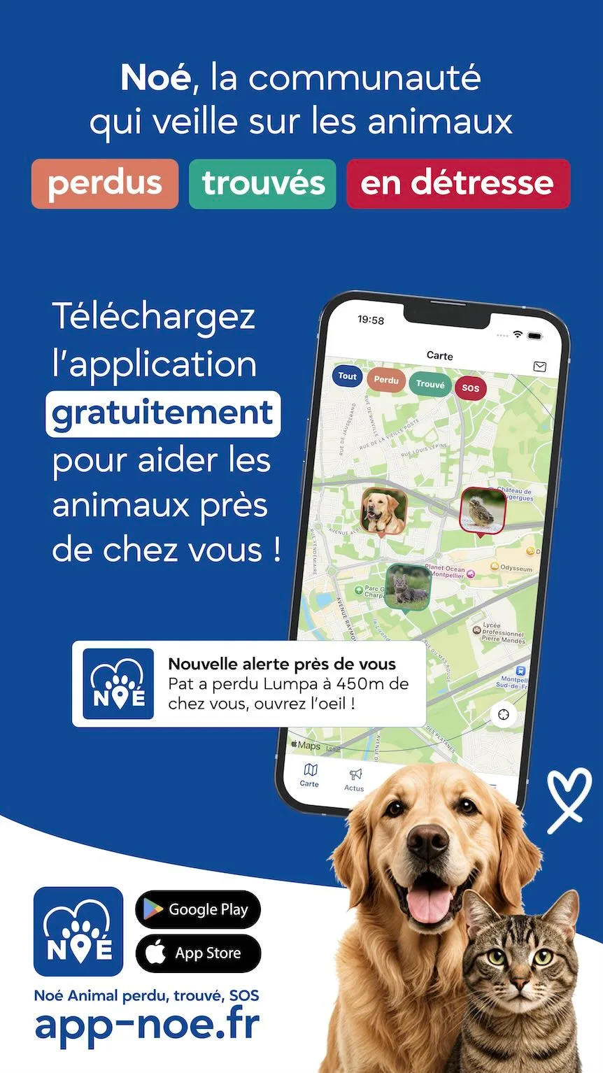 Visuel story Noé à partager sur les réseaux sociaux